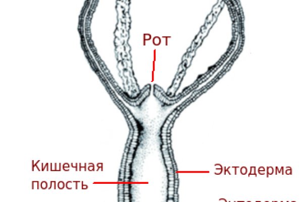 Darknet ссылки