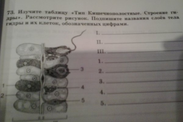 Как отличить оригинальный сайт кракена